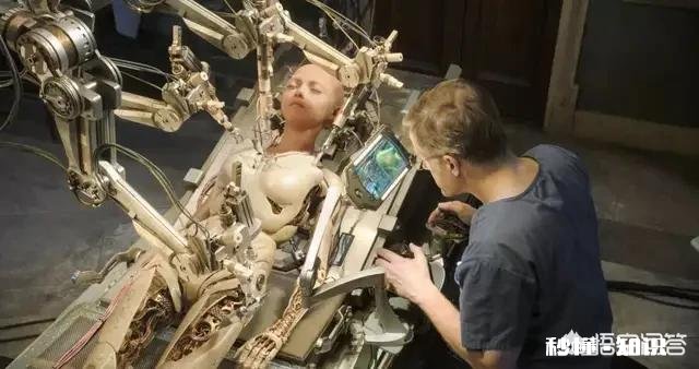 《阿丽塔》最终票房如何