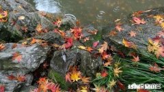 有没有一句让你感触很深的句子