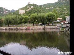 风追落叶，叶追尘；你经历过这种落花无意恋流水的情感吗