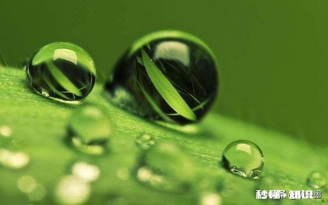 微距镜头已有，哪款相机适合微距摄影