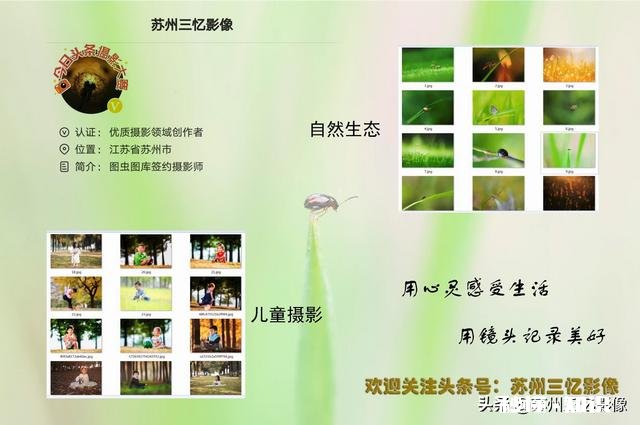 微距镜头已有，哪款相机适合微距摄影