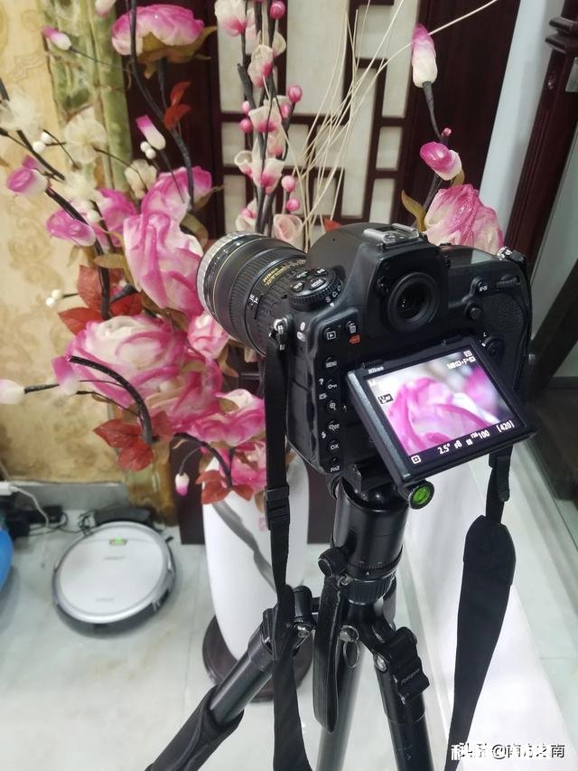 微距镜头已有，哪款相机适合微距摄影