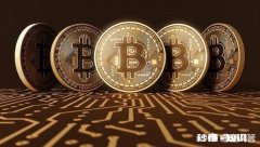 为什么我们已经认可比特币但却依然认为维卡币是传销货币