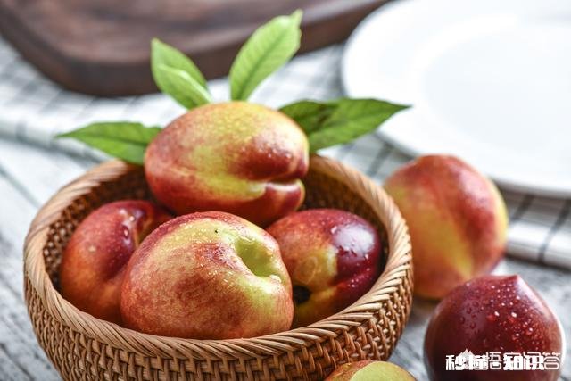 孕妇可以吃油桃吗