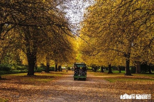 提到新西兰，你会想到什么