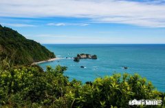 提到新西兰，你会想到什么