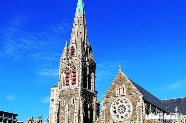 提到新西兰，你会想到什么