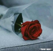 23岁了，想认真学学如何气质穿搭，想往欧美风路线走，请问大家我该怎么学习呢