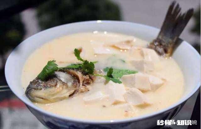 过年给老人做什么菜合适