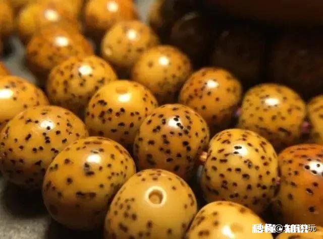 星月菩提是先变红还是先开片