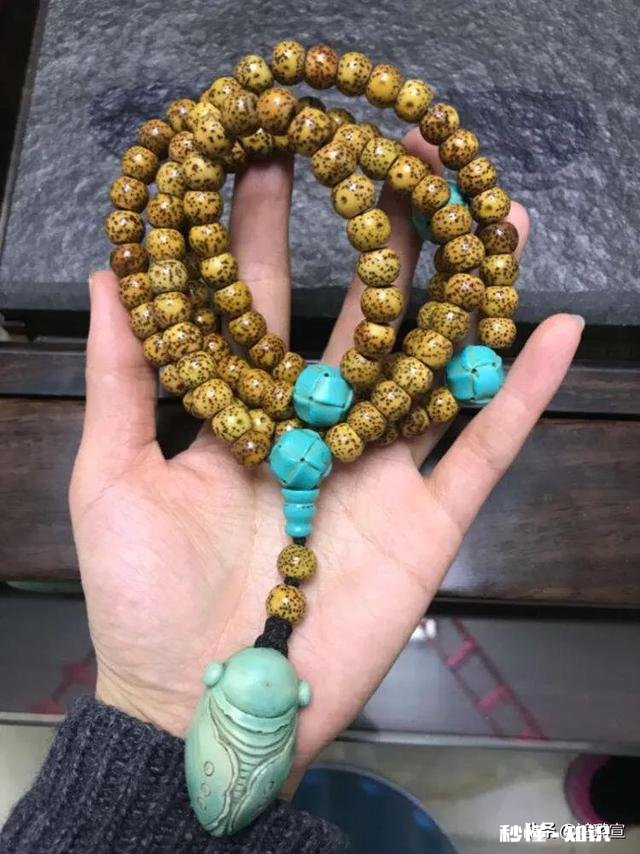 星月菩提是先变红还是先开片