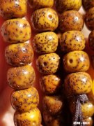 星月菩提是先变红还是先开片