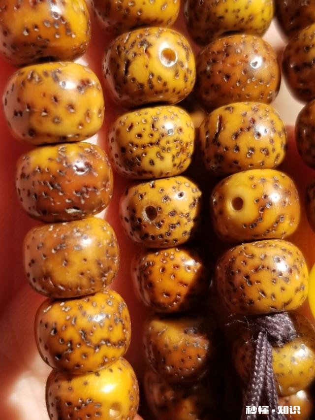 星月菩提是先变红还是先开片