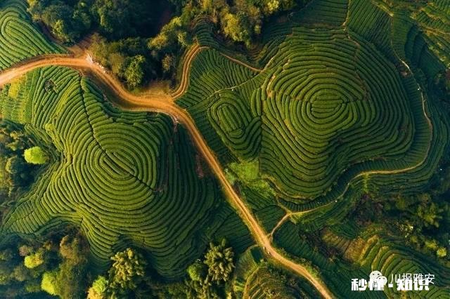 大连主城区有几个区域?哪些区域比较适合养老