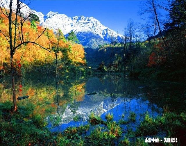 大连主城区有几个区域?哪些区域比较适合养老