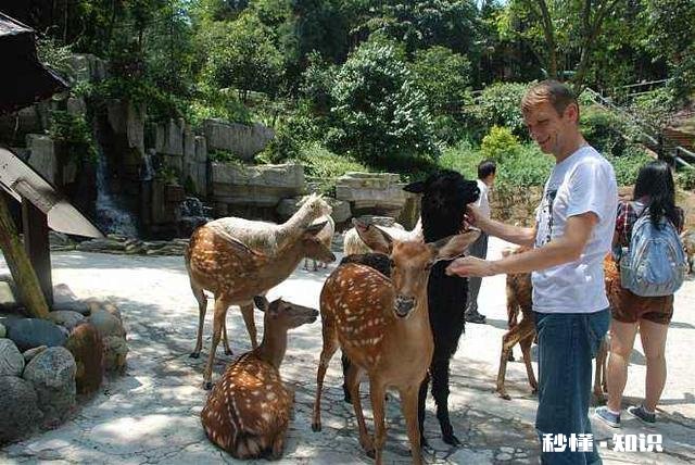 大连主城区有几个区域?哪些区域比较适合养老