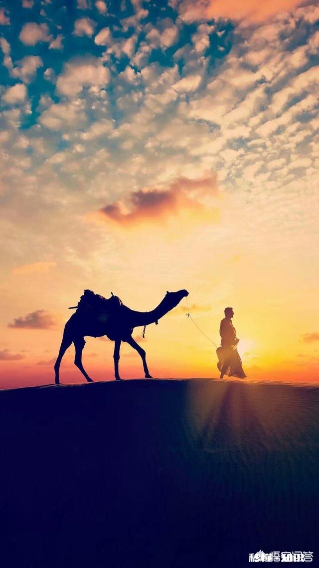 我应该为这块和田玉起个什么寓意的名字