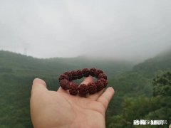 金刚菩提黄皮盘玩后颜色不统一怎办