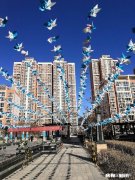 半生已过，习惯了孤独吗