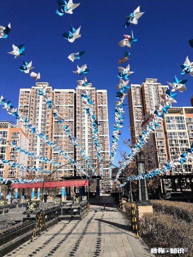 半生已过，习惯了孤独吗