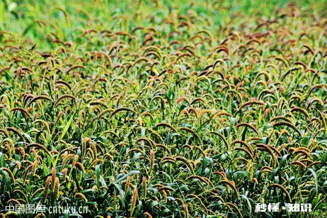 人已经过了35了，真心找不到比较好比较稳定的工作，辅警这样的工作到底值不值得做