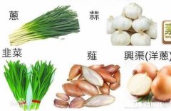 草字头的“荤”为何会成为肉类的代词最早指代肉类的是哪个词