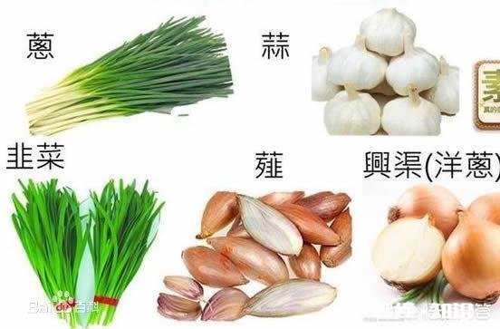 草字头的“荤”为何会成为肉类的代词最早指代肉类的是哪个词