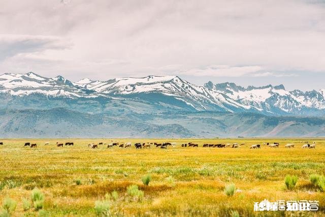 摄影怎么拍草,能够显得很好看