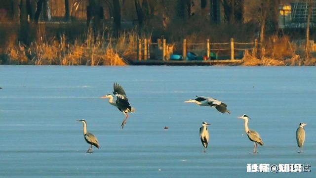 面试的时候，一定要正装出席吗