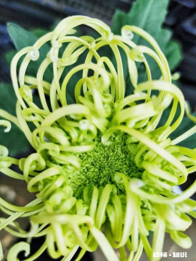 用手机拍摄不同场景，拍摄角度如何选择