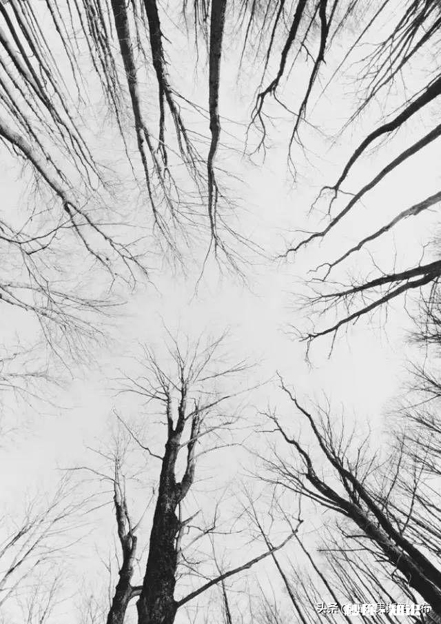 用手机拍摄不同场景，拍摄角度如何选择