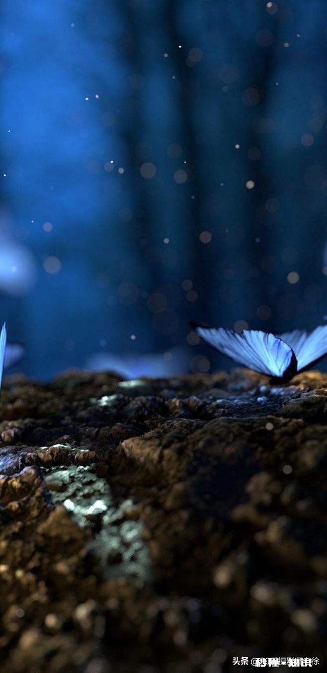 用手机拍摄不同场景，拍摄角度如何选择