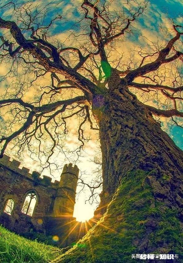 用手机拍摄不同场景，拍摄角度如何选择