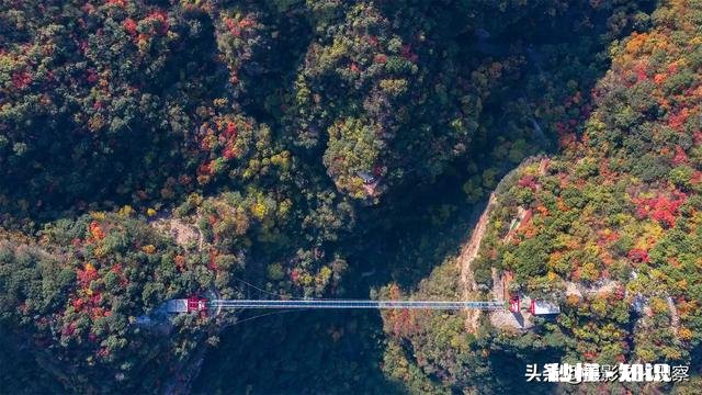 用手机拍摄不同场景，拍摄角度如何选择