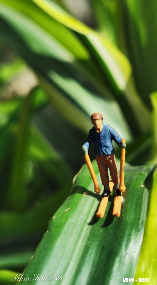 用手机拍摄不同场景，拍摄角度如何选择