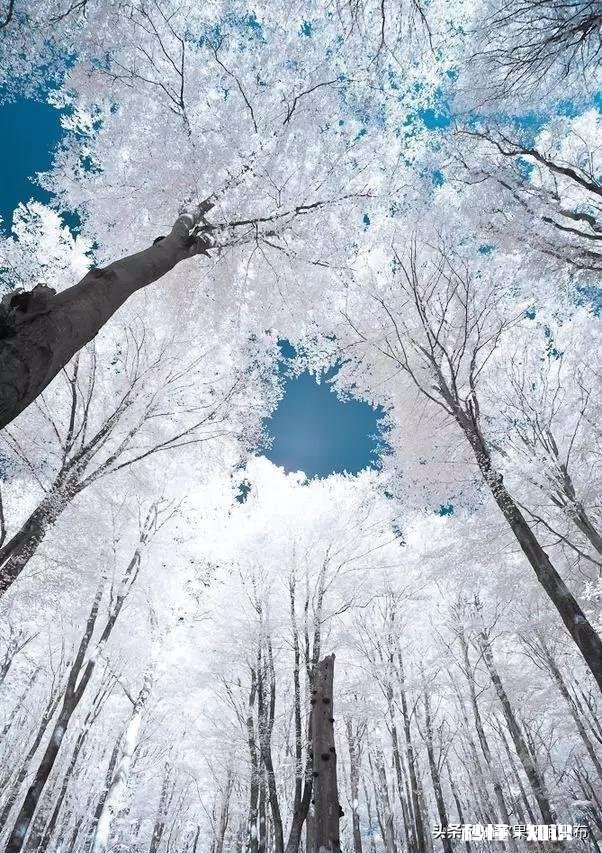 用手机拍摄不同场景，拍摄角度如何选择