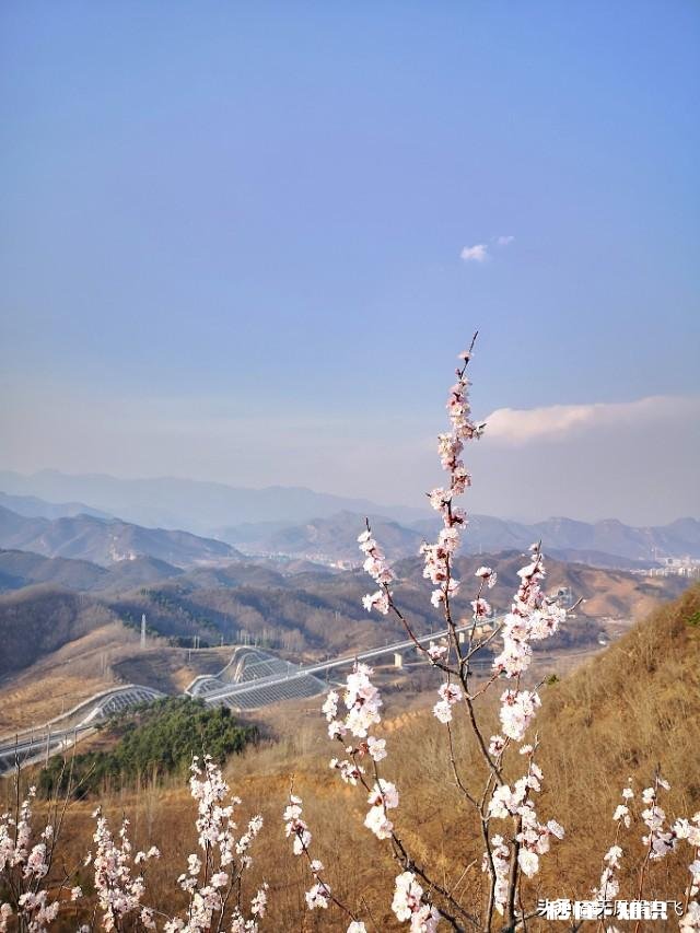 又到拍摄花儿的季节，如何利用花儿的美丽来抒发情感
