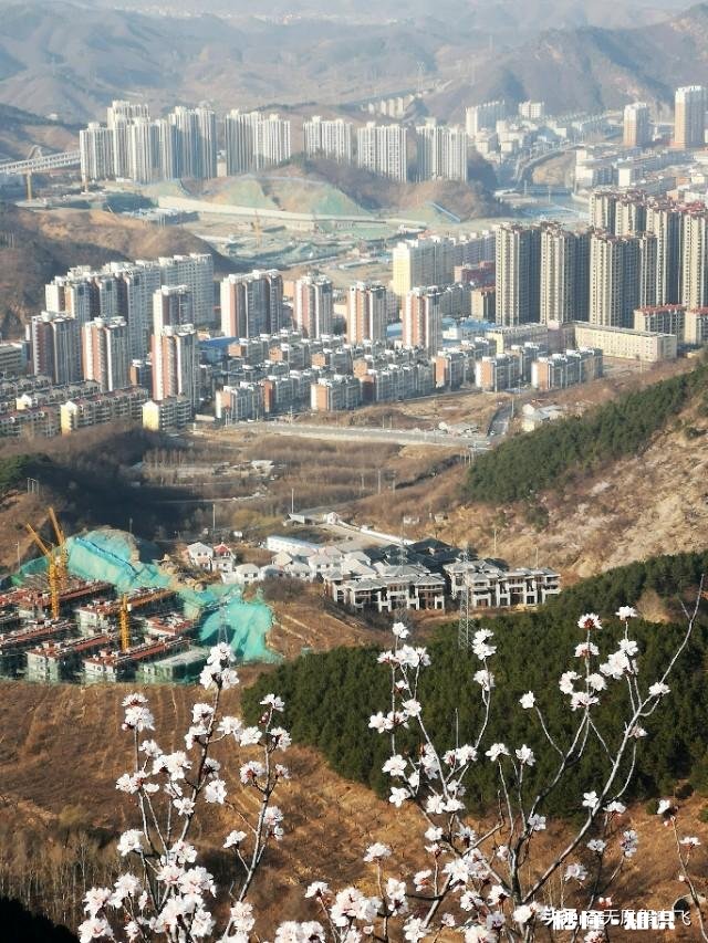 又到拍摄花儿的季节，如何利用花儿的美丽来抒发情感