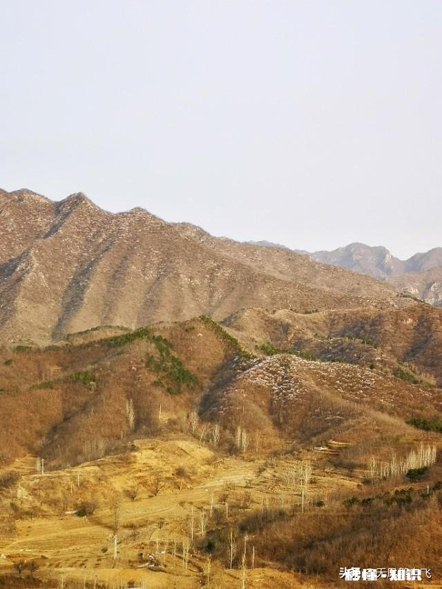 又到拍摄花儿的季节，如何利用花儿的美丽来抒发情感