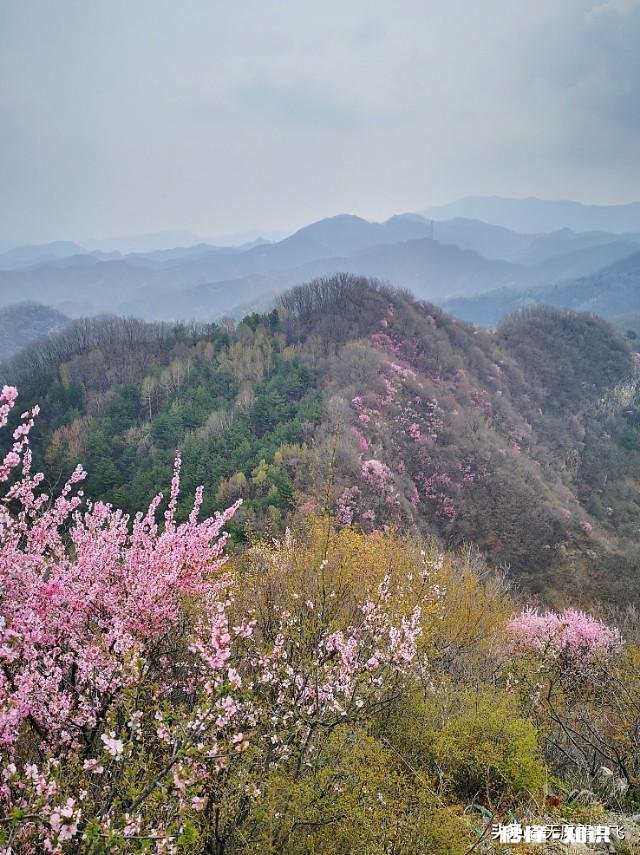 又到拍摄花儿的季节，如何利用花儿的美丽来抒发情感