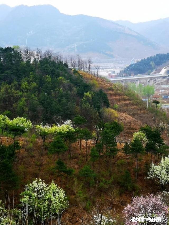又到拍摄花儿的季节，如何利用花儿的美丽来抒发情感