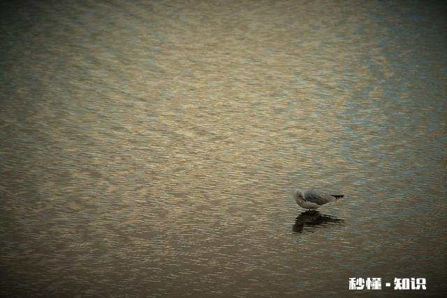倒影不一样的玩法，如何巧用镜面反射拍出创意大片