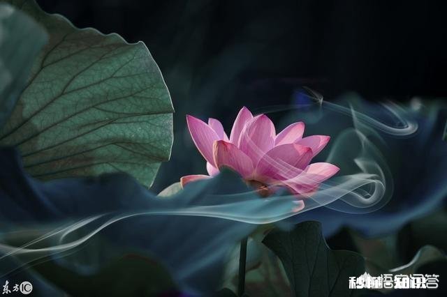 结婚后，你会介意老公的前女友出现在你面前吗