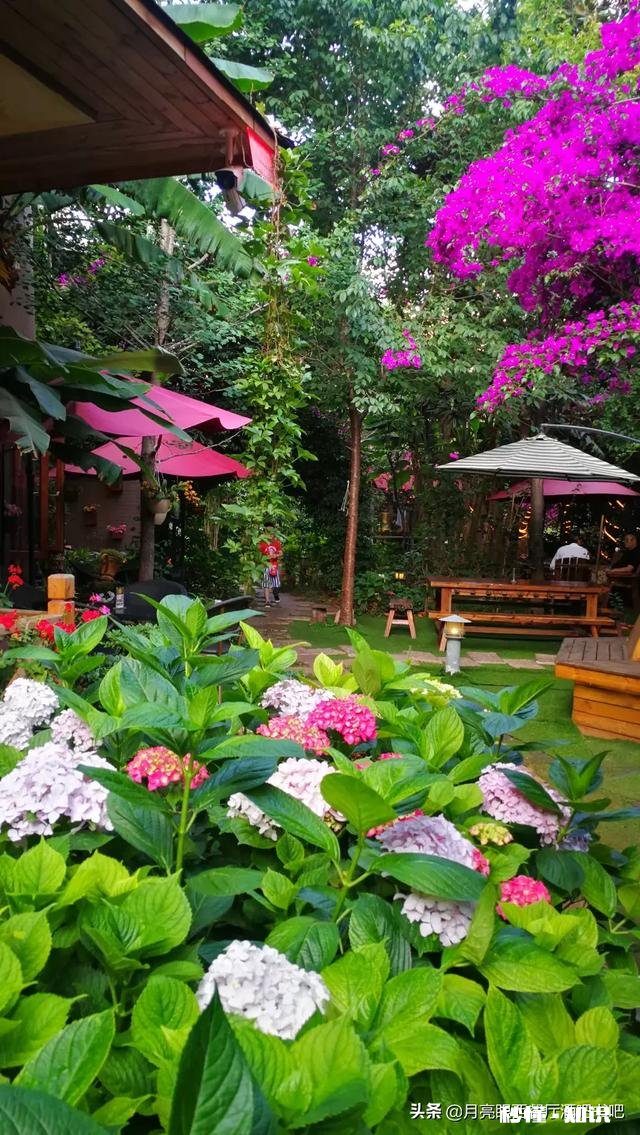 秋天最喜欢吃什么暖心的食物