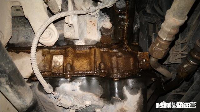 1.4帕萨特发动机漏油，烧机油怎么办