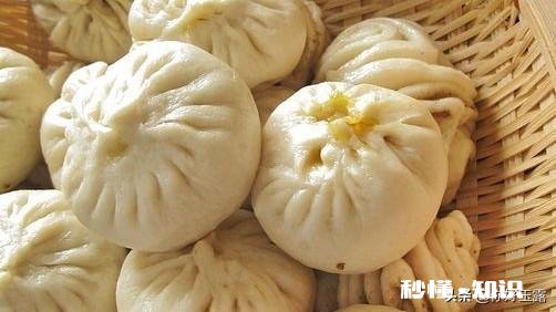 什么包子馅最好吃都有哪几种做法
