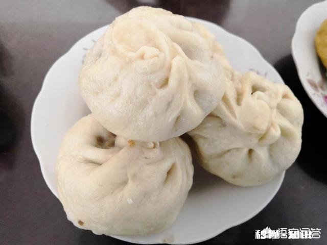 什么包子馅最好吃都有哪几种做法