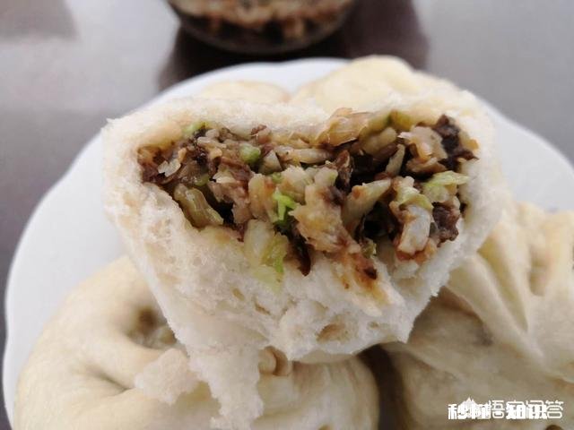 什么包子馅最好吃都有哪几种做法