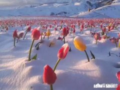 你怎么看：女孩在结婚登记时犹豫遭男友暴打，随后开心回来领证