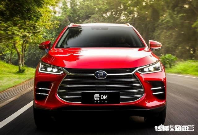 新能源汽车看好哪个品牌